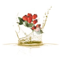 Άγριο Τριαντάφυλλο Λάδι 